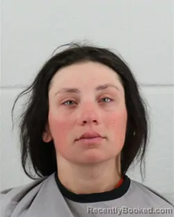 Mugshot of KAYLEE RENAE LAMB booked in Johnson County, Kansas on March 13, 2026