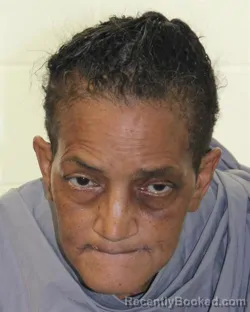 Mugshot of JERRA DANNETTE CLAYTON HUSSEY booked in Johnson County, Kansas on March 15, 2026