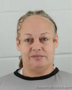 Mugshot of NICOLE LEE JOHNSON