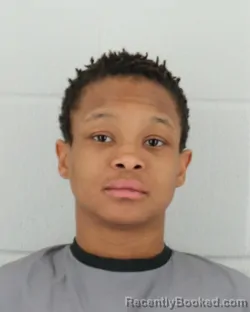 Mugshot of DANIELLE MICHELLE STALLINGS booked in Johnson County, Kansas on March 18, 2026