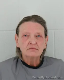 Mugshot of THERESA ANNE DONNELLY booked in Johnson County, Kansas on March 20, 2026