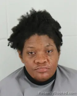 Mugshot of ASHLEY PAIGE RAMSEY booked in Johnson County, Kansas on March 24, 2026