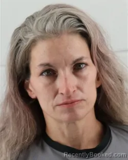 Mugshot of HEATHER MICHELLE TOWRY booked in Johnson County, Kansas on March 25, 2026