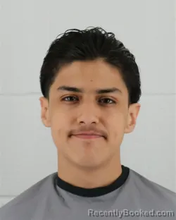 Mugshot of ISMAEL ASAEL LINARES booked in Johnson County, Kansas on March 26, 2026