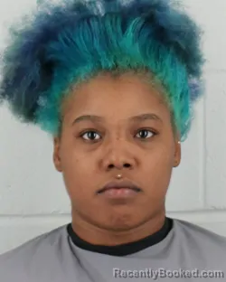 Mugshot of JAEMISHA DASHAY COLLINS booked in Johnson County, Kansas on March 28, 2026