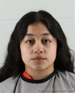 Mugshot of SAMANTHA GISELLE ORELLANA booked in Johnson County, Kansas on March 30, 2026