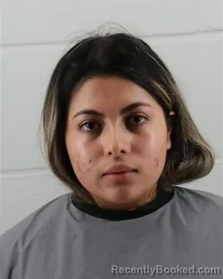 Mugshot of YOSSELYN IDALMY MEJIA-LARA booked in Johnson County, Kansas on March 31, 2026