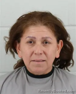 Mugshot of ROSA ELVIA BRISENO-HERNANDEZ booked in Johnson County, Kansas on April 1, 2026