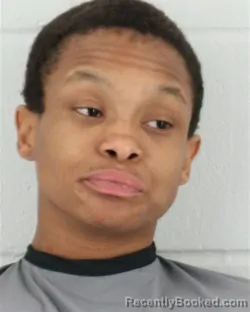 Mugshot of DANIELLE MICHELLE STALLINGS booked in Johnson County, Kansas on April 1, 2026