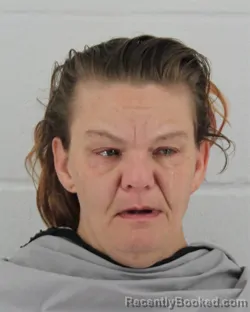 Mugshot of MELISSA ANNETTE PERKINS booked in Johnson County, Kansas on April 29, 2026