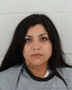 Mugshot of ERICA SUSANA LOPEZ booked in Johnson County, Kansas on May 3, 2026
