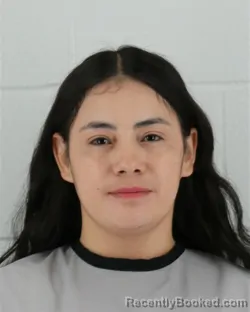 Mugshot of KAREN JASMIN PEREZ booked in Johnson County, Kansas on May 3, 2026