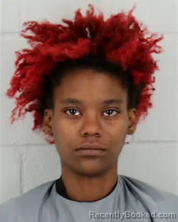 Mugshot of NIKKIA MARIE COBBINS booked in Johnson County, Kansas on May 24, 2026