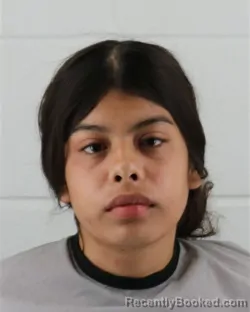 Mugshot of JASMIN INGRID ALEXIS HERNANDEZ booked in Johnson County, Kansas on July 8, 2026