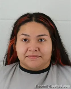 Mugshot of Josephine Marie Frances Kilgore booked in Johnson County, Kansas on August 19, 2026