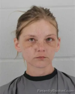 Mugshot of Allison Nicole Linn booked in Johnson County, Kansas on August 20, 2026