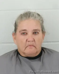Mugshot of Shawn Renee Lee booked in Johnson County, Kansas on August 28, 2026