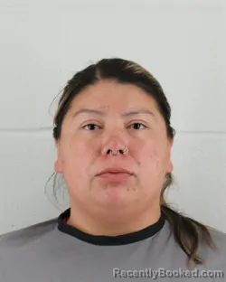 Mugshot of Brianna Elise Anglin booked in Johnson County, Kansas on October 24, 2026