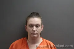 Mugshot of LANETTE MARIE HINMAN
