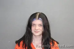Mugshot of VANESSA RAE STEVENS booked in Labette County, Kansas on April 30, 2026