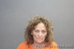 Mugshot of CHERYL DIANE WILKERSON booked in Labette County, Kansas on May 18, 2026