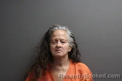 Mugshot of Lisa L Stover booked in Labette County, Kansas on June 25, 2026