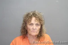 Mugshot of Cheryl D Wilkerson booked in Labette County, Kansas on July 8, 2026