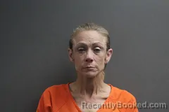 Mugshot of Kristin L Talley booked in Labette County, Kansas on July 14, 2026