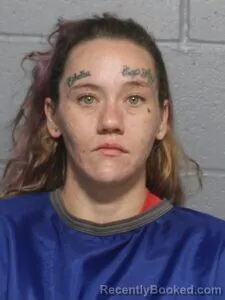 Mugshot of KASSANDRA D DARBY booked in Leavenworth County, Kansas on July 28, 2026