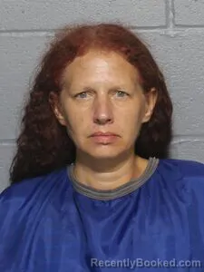 Mugshot of BRENDA L WILSON booked in Leavenworth County, Kansas on August 4, 2026