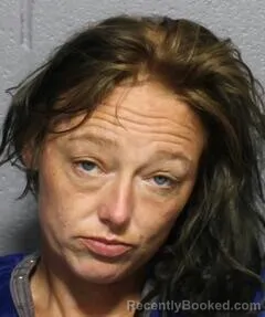 Mugshot of Paradize S Felker booked in Leavenworth County, Kansas on August 12, 2026