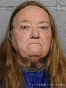 Mugshot of Frances S Mcclanahan booked in Leavenworth County, Kansas on August 13, 2026