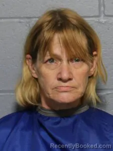 Mugshot of Anita M Nelson booked in Leavenworth County, Kansas on October 23, 2026