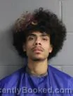 Mugshot of CAMERON ORLANDO WILSON
