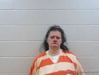 Mugshot of Shannon Lee DeNardi booked in Marion County, Kansas on May 2, 2026