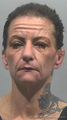 Mugshot of Angel Ann Drake booked in McPherson County, Kansas on June 25, 2026
