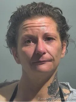 Mugshot of Angel Ann Drake booked in McPherson County, Kansas on October 9, 2026