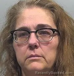 Mugshot of Cynthia Ann Palmquist