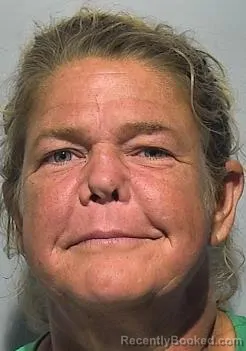 Mugshot of Erin Lynn Plumer