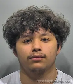 Mugshot of Jordan Lee Sanchez