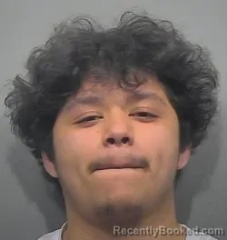 Mugshot of Jordan Lee Sanchez