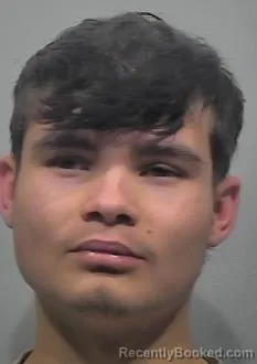 Mugshot of Kadin Matthew Holcom