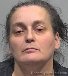 Mugshot of Nina Kay Pittman