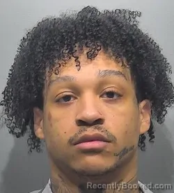 Mugshot of Tavon Edward Alston