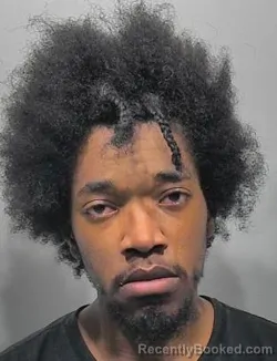 Mugshot of Tori Aven Nelson