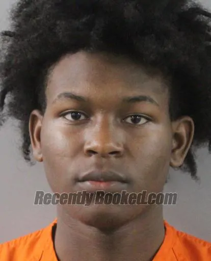 Booking photo from Polk County, Florida