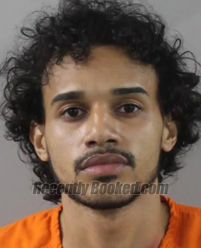 Booking photo from Polk County, Florida