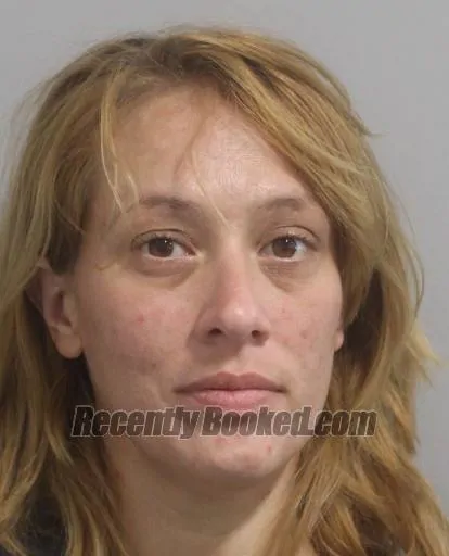 Booking photo from Polk County, Florida