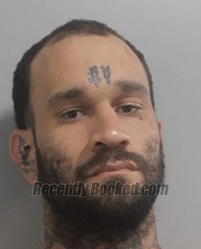 Booking photo from Polk County, Florida