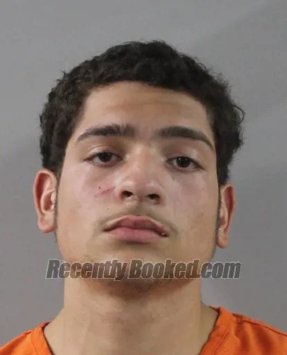 Booking photo from Polk County, Florida